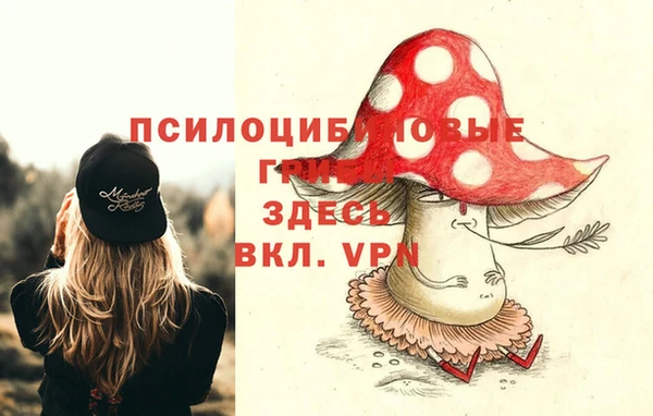 ALPHA PVP Арсеньев