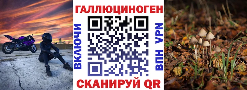 OMG ссылки  где продают наркотики  Строитель  Галлюциногенные грибы Magic Shrooms 